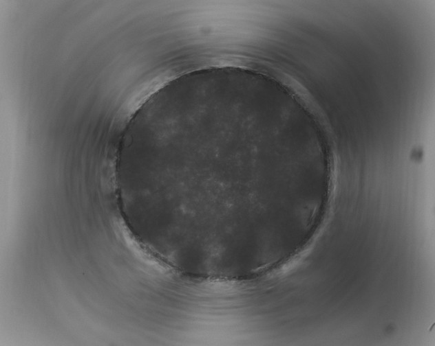 X0000112900977200909181932