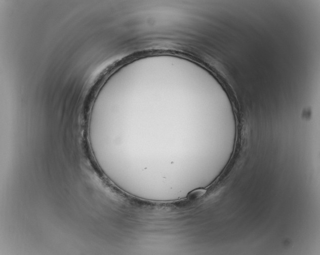 X0000112900979200909181932