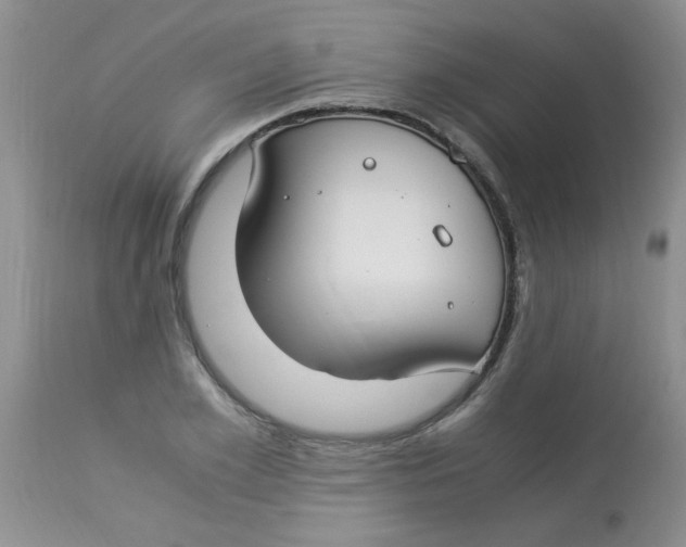 X0000112900981200909181932