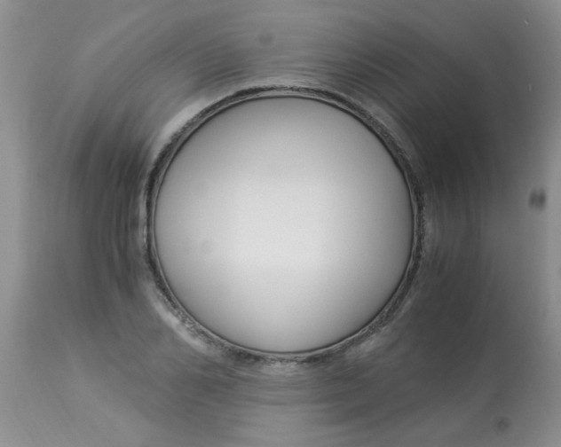 X0000112900982200909181932