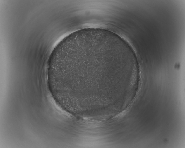 X0000112900983200909181932