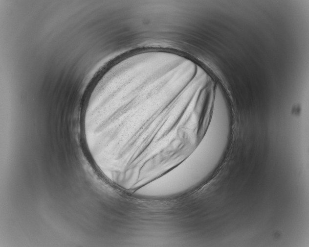 X0000112900984200909181932