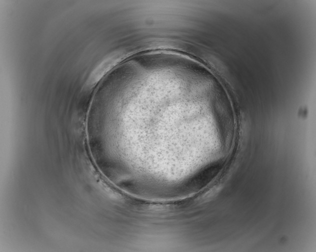 X0000112900985200909181932