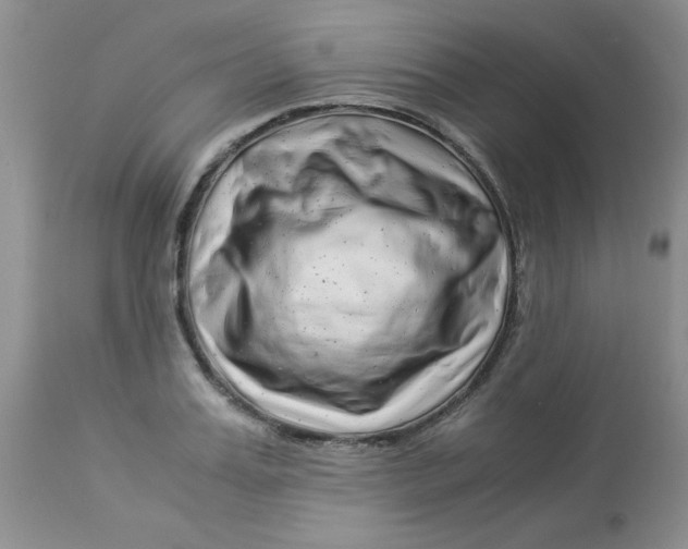 X0000112900987200909181932