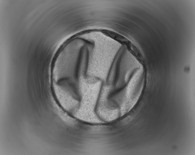 X0000112900988200909181932