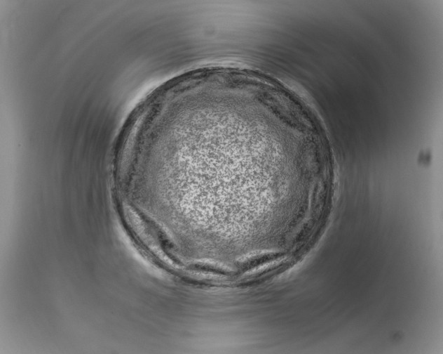 X0000112900989200909181932