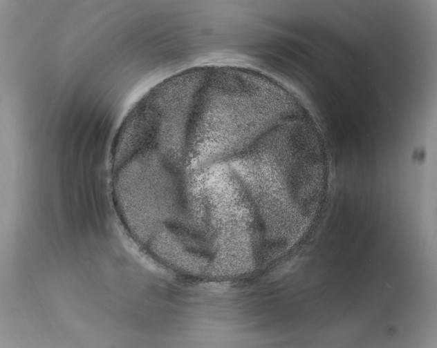 X0000112900990200909181932