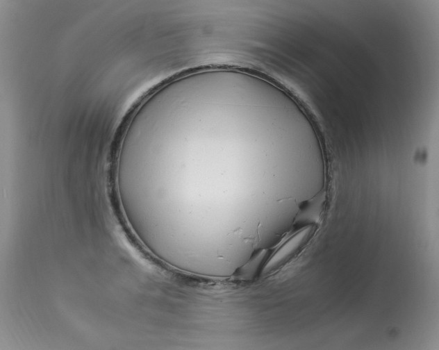 X0000112900991200909181932