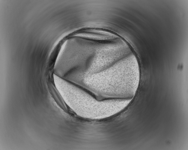 X0000112900992200909181932