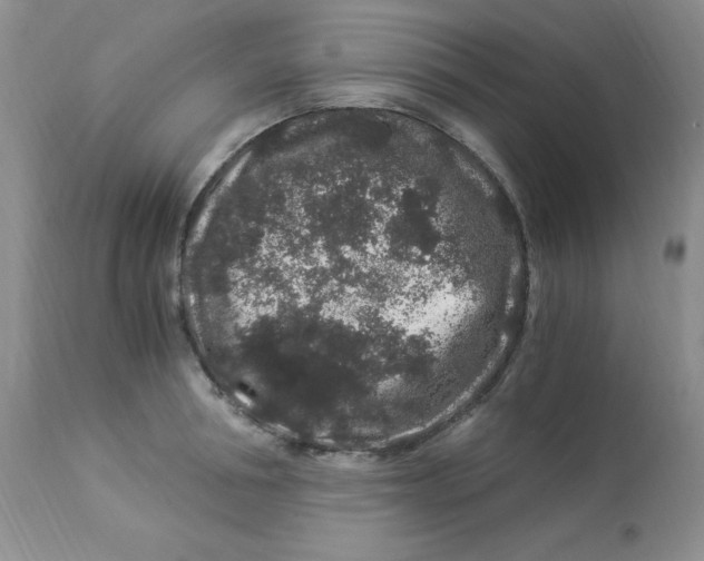 X0000112900994200909181932
