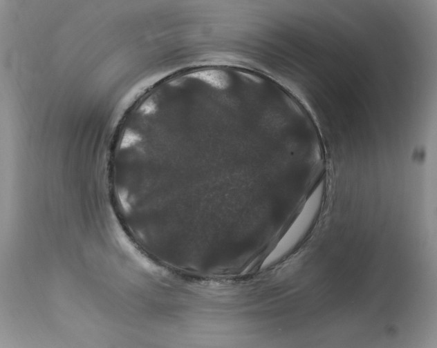 X0000112900995200909181932