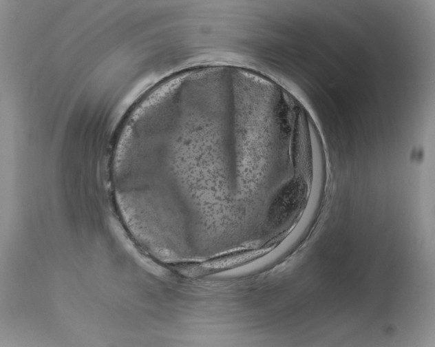 X0000112900997200909181932