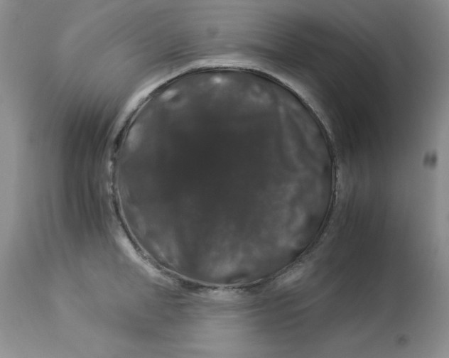 X0000112900998200909181932