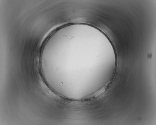 X0000112901000200909181932