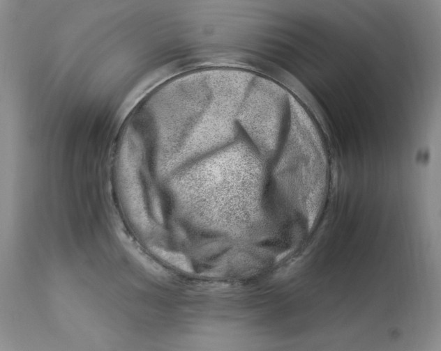 X0000112901002200909181932