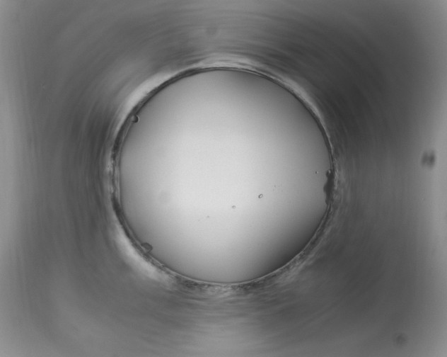 X0000112901003200909181932