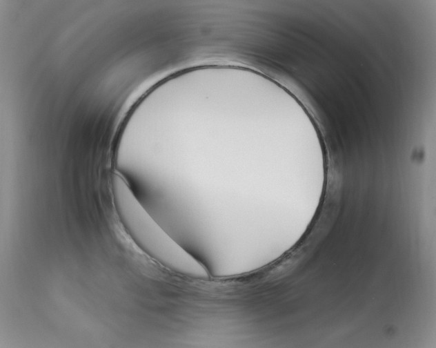 X0000112901004200909181931