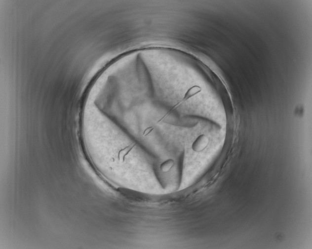 X0000112901005200909181931