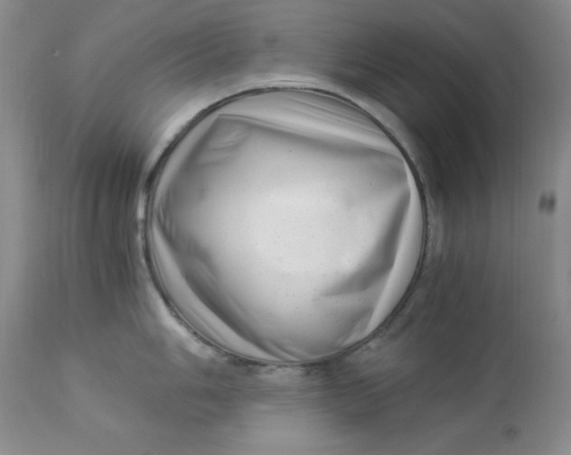 X0000112901006200909181931