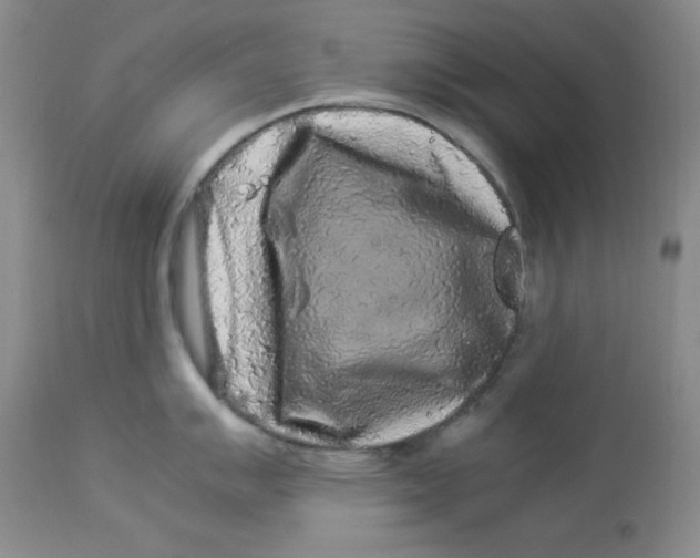 X0000112901007200909181931