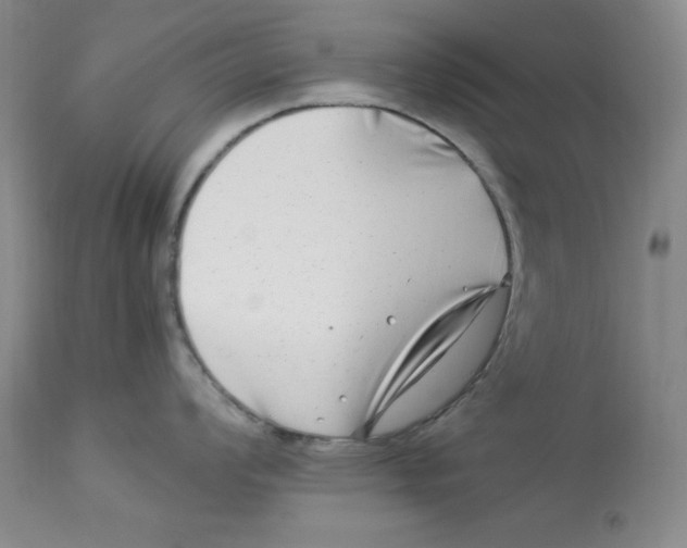 X0000112901008200909181931