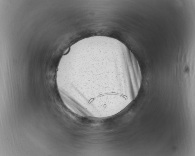 X0000112901010200909181931