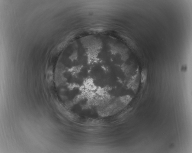 X0000112901011200909181931