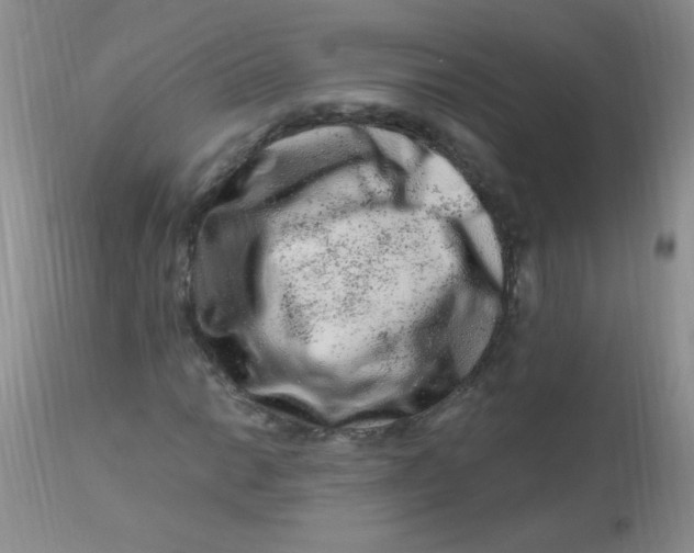 X0000112901014200909181931