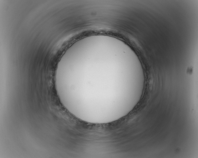 X0000112901016200909181931