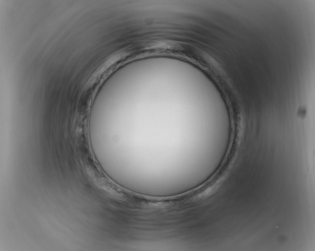 X0000112901017200909181931