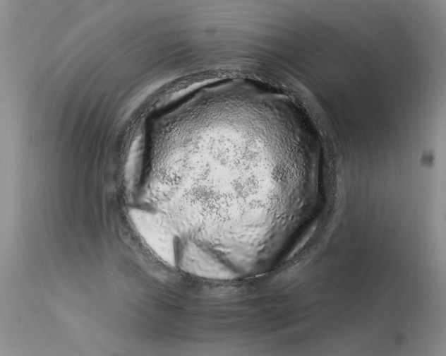 X0000112901019200909181931