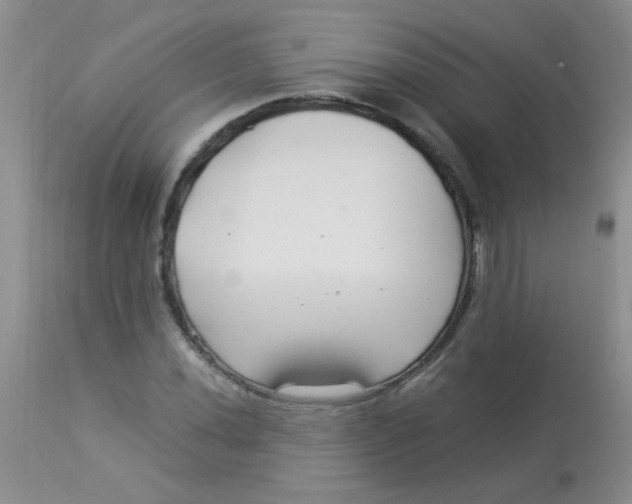 X0000112901020200909181931