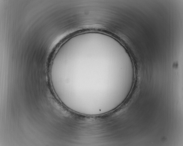 X0000112901022200909181931