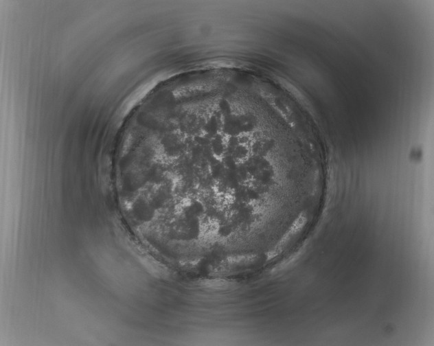 X0000112901023200909181931
