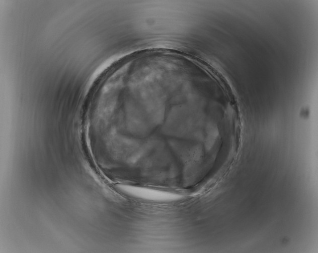 X0000112901024200909181931