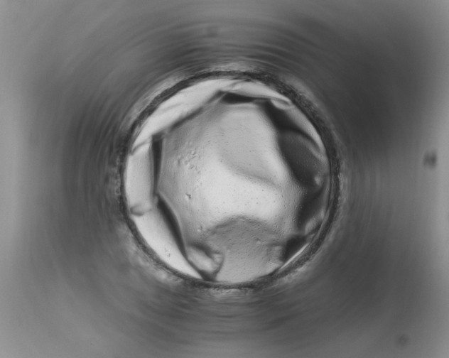 X0000112901025200909181931