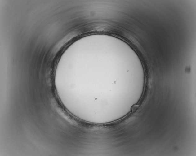 X0000112901026200909181931