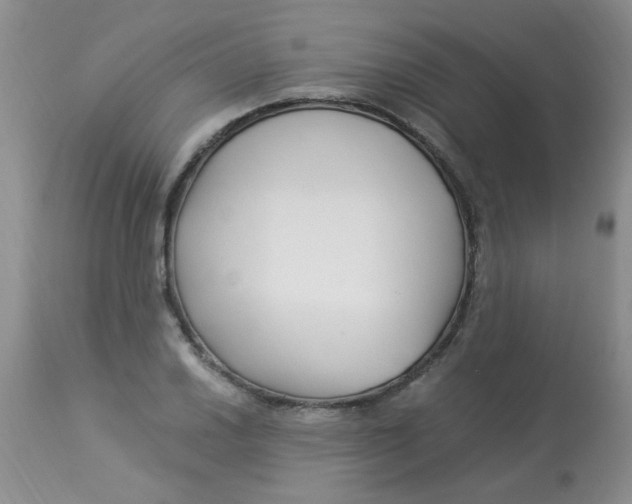 X0000112901030200909181931