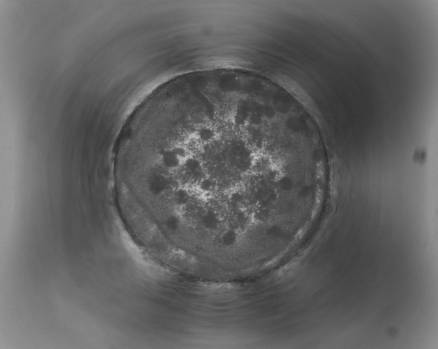 X0000112901031200909181931