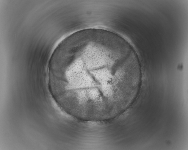 X0000112901032200909181931
