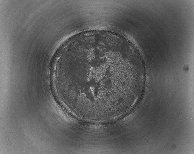 X0000112901035200909181931
