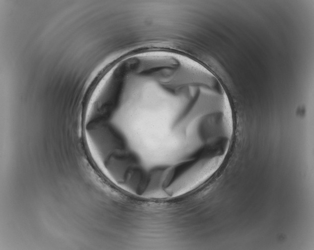 X0000112901036200909181931