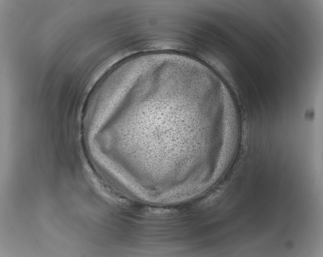 X0000112901039200909181931