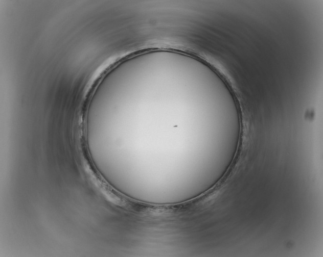 X0000112901040200909181931
