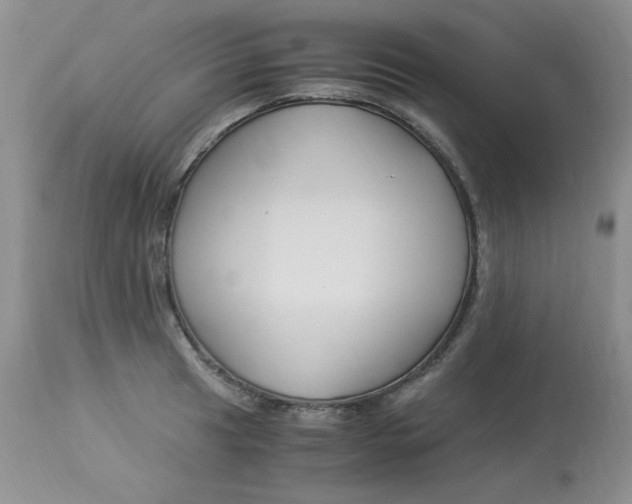 X0000112901041200909181931