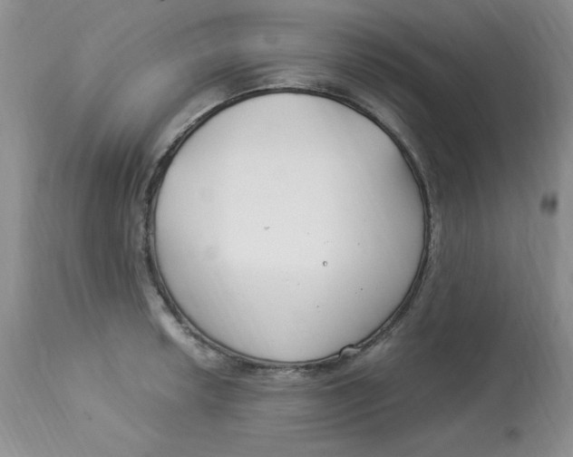 X0000112901042200909181931