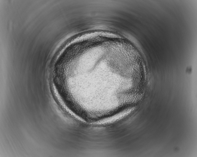 X0000112901043200909181931