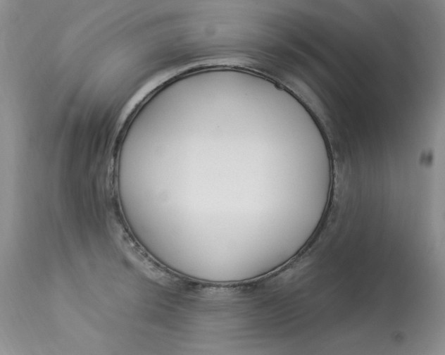 X0000112901044200909181931