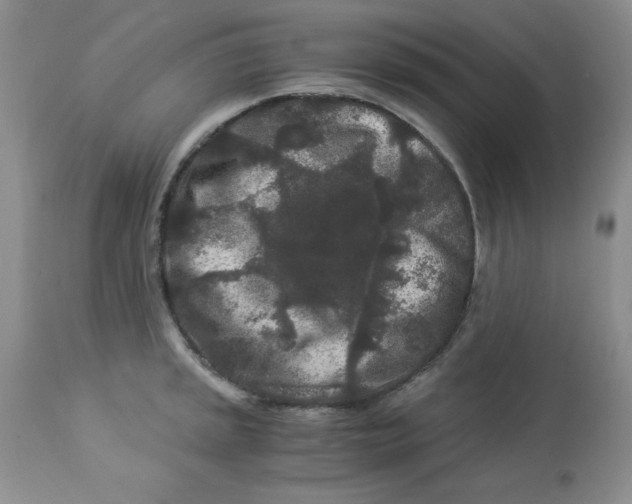 X0000112901045200909181931