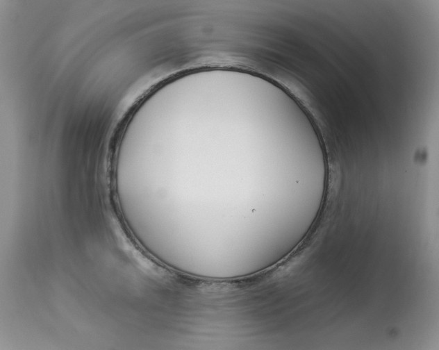X0000112901046200909181931